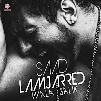 سعد لمجرد — سالينا — обложка